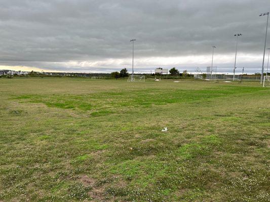 Soccer and baseball fields