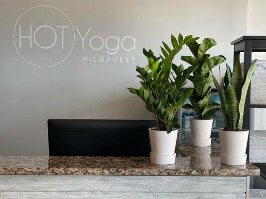 Hot Yoga Milwaukee