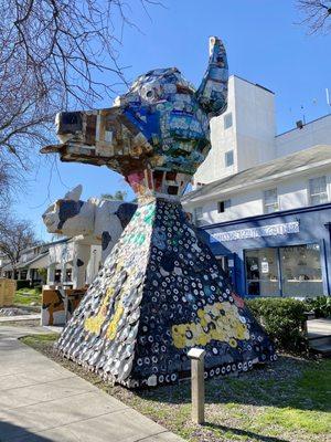 02.28.21 "Roy the Dog," the Davis dog outside the John Natsoulas Gallery in Davis