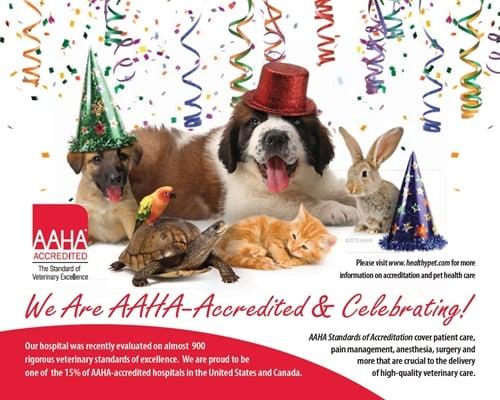 We are now AAHA Accredited! AAHA Accreditation is the highest accreditation a veterinary hospital can achieve.