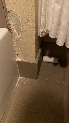 Old toilet paper roll behind toilet. And the obvious wall damage.