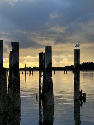 Bay in front of property