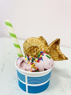 Taiyaki with Ice cream