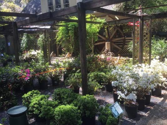 Gulley's Garden Center