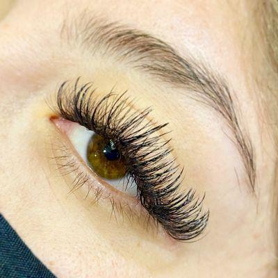 Volume Lash Extension