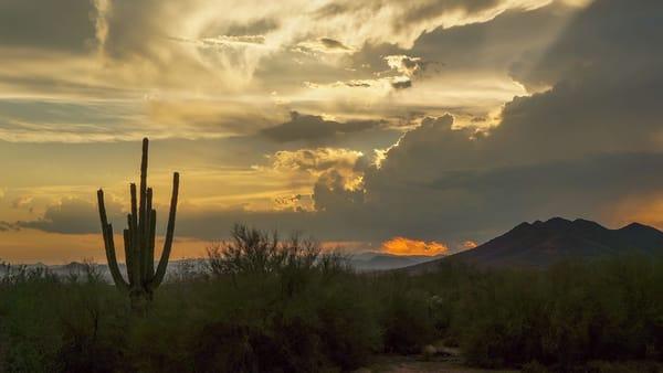 Beautiful desert views from our parking lot.