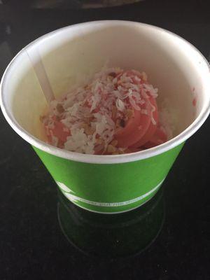 Watermelon non dairy yogurt