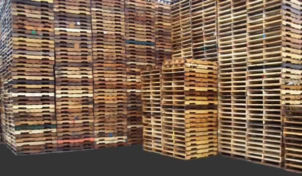 Piles and piles of pallets move the world!