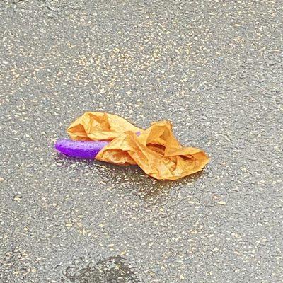 A Purple dildo in a brown paper bag in the parking lot for three days while we were there. Pick up the trash. Curb appeal is everything