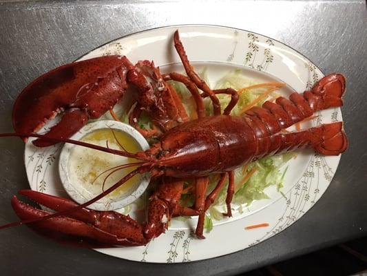 Steamed lobster