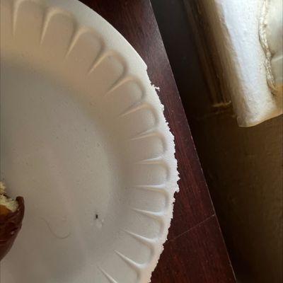 Plate chewed by mice. This is disgusting. Way over priced for sharing with mice.