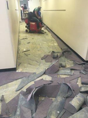 Safely removing floor tiles containing asbestos.