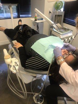 Using a service dog to relax you During dental procedure the best dental cleaning ever