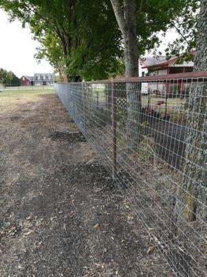 Pipe top rail fence with 5' horse wire fence