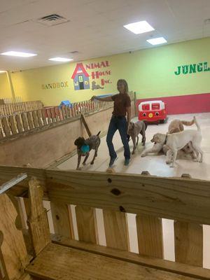 Mrs. Cindy playing ball with our wild crew of pups!