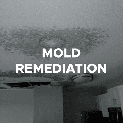 "I would recommend anyone who needs or think they may need mold remediation services..."
- Chelsea