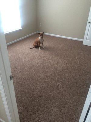 Master bedroom Alan cleaned up