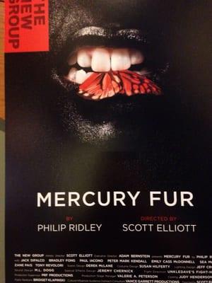 Mercury Fur