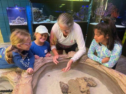 Checking out the aquatic animals in our touch tank