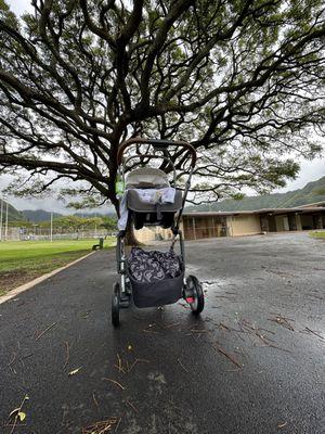 Manoa Valley District Park