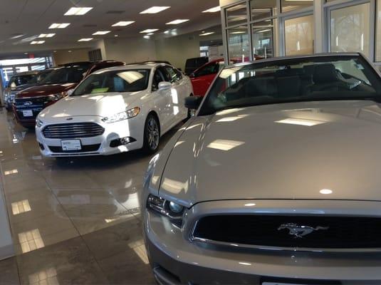 Ford Showroom! variety much!