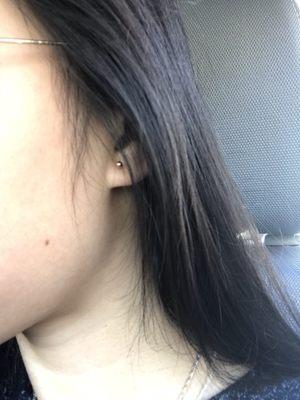 real gold studs + first time piercing my ears since they closed! = no swelling