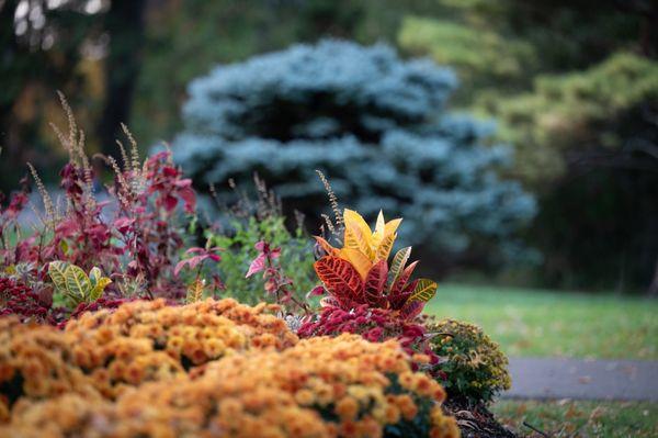 Inniswood Metro Garden