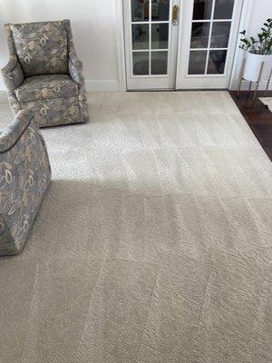 Ace Carpet Cleaning