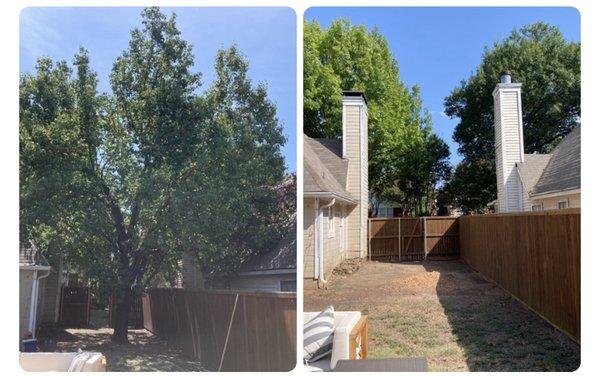 We safely remove trees in tight places with no damage to property.