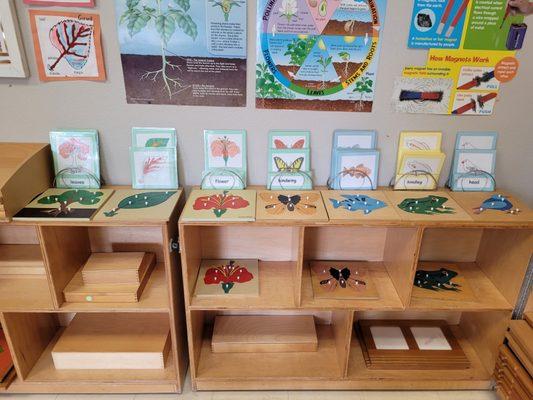 Learn about plants, animals and nature through puzzles and handmade books.