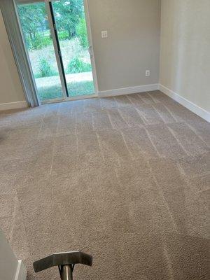 Professional Carpet Cleaning Plus