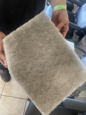 Filthy Air Filter