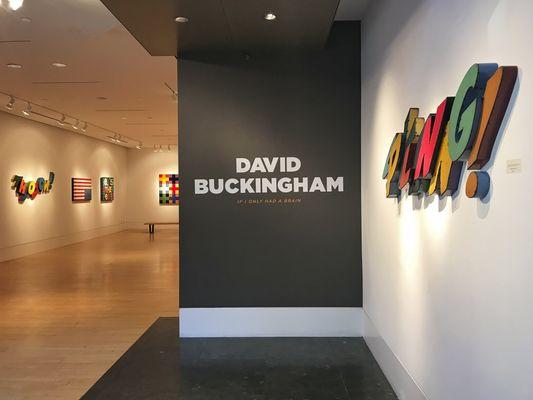 David Buckingham exhibition, "If I Only Had a Brain", February 1-18, 2018