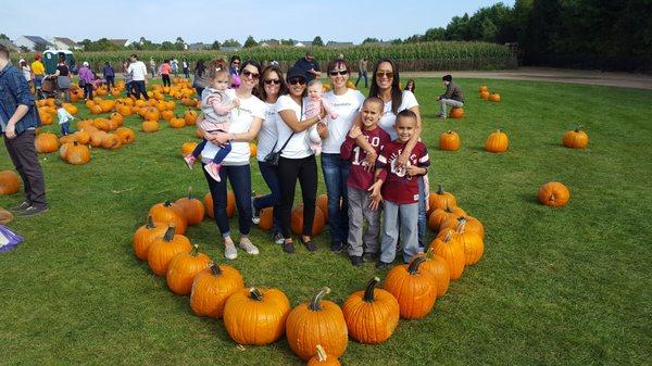 Office fun day at Schmitt's Family Farm!