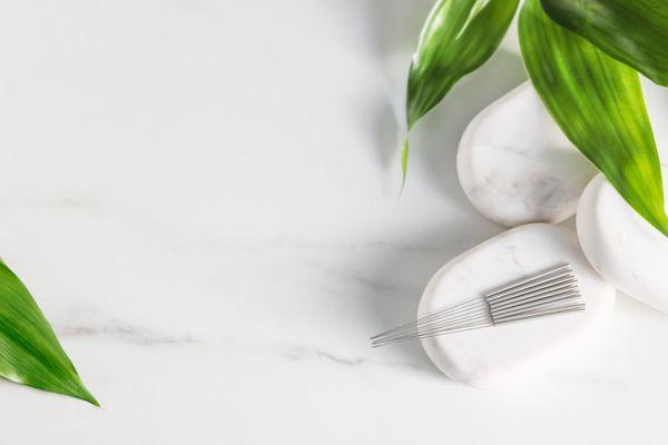 Cover image, soft white rocks with green leaves & acupuncture needles lined up on rocks