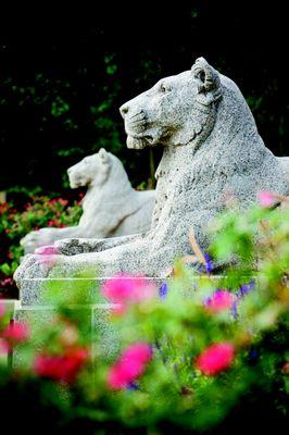 Kansas City Life Insurance Company's lioness statues in front of the building on Broadway St.