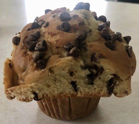 Chocolate Chip Muffin