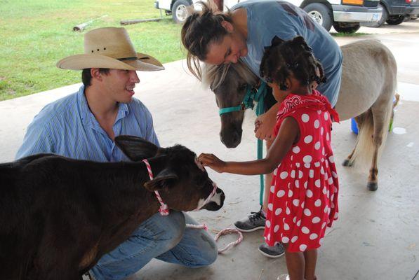 Monthly Childrens Event: Calf and pony visit