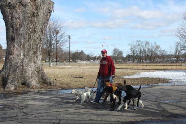 Group Walks