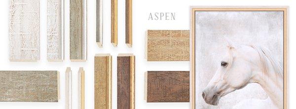 The Aspen Collection