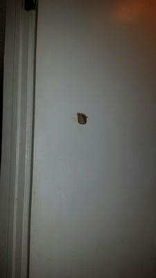 Hole in door