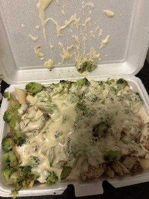 Chicken Broccoli Alfredo pasta