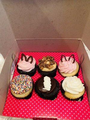 Half Dozen Assorted Cupcakes