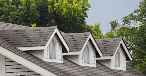 Roofing Repair by Dan Essary