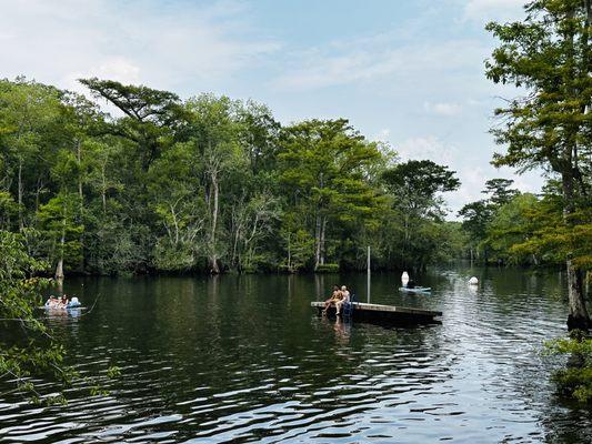 Dock for jumping or getting up from deeper waters