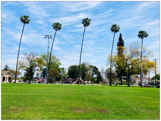 Playground and fitness recreation.