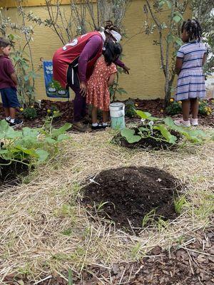 Gardening.