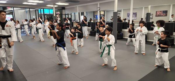 Taekwondo class