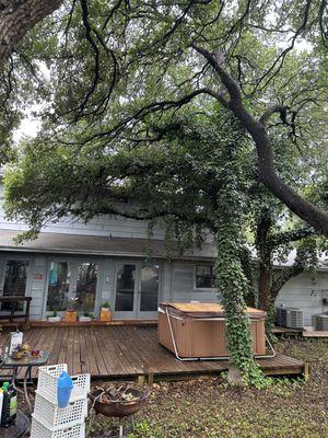 Three large trees hanging over the deck and a two-story house removal. Another happy customer.