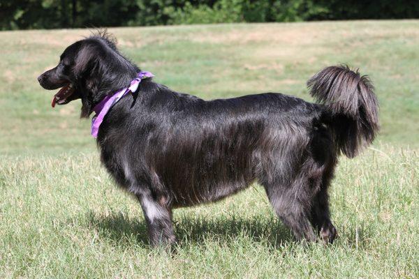 Katy showing off her Summer cut.